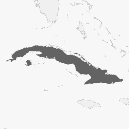 geo image of Cuba